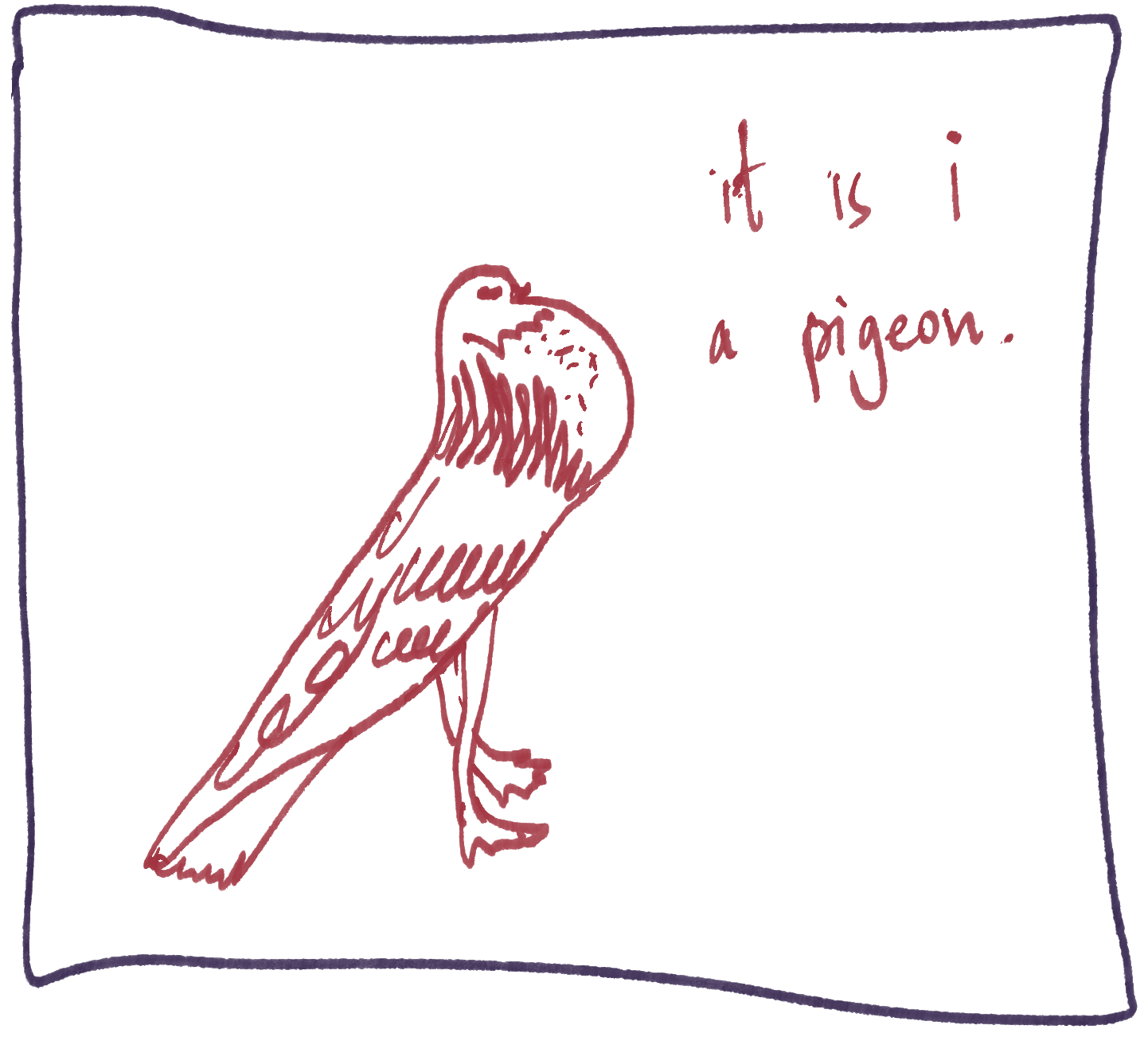 Darwin and his pigeons and finches