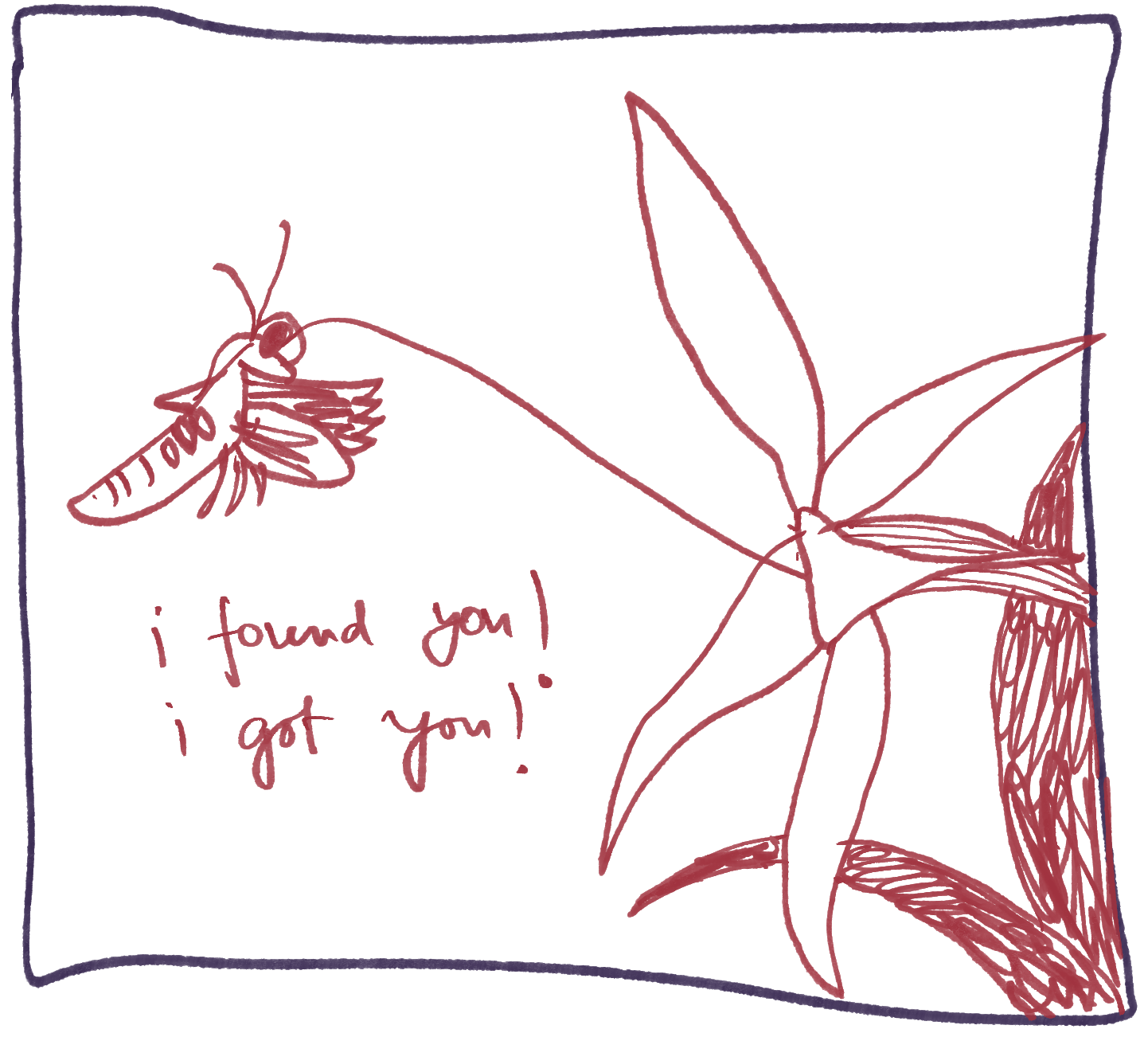 Madagascar orchid and moth