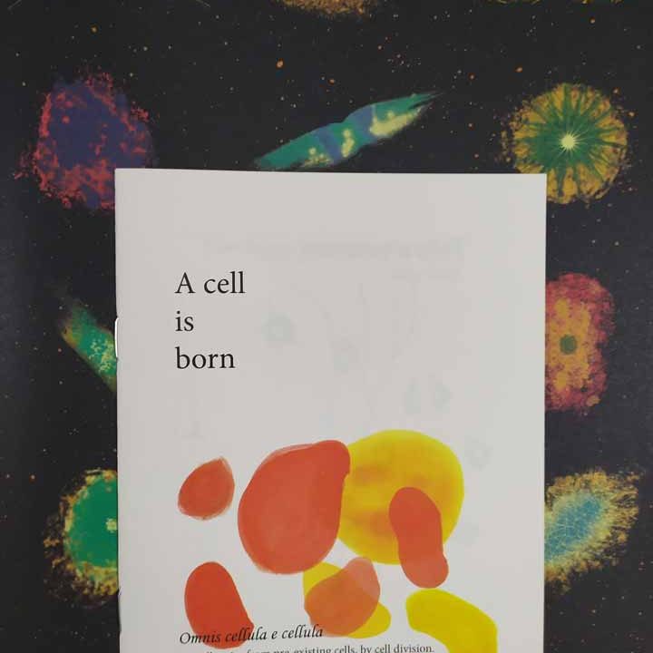 A-cell-is-born