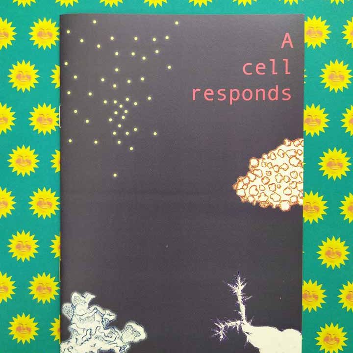 A-cell-responds