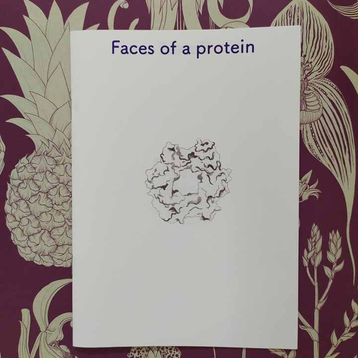 Zine: faces of a protein