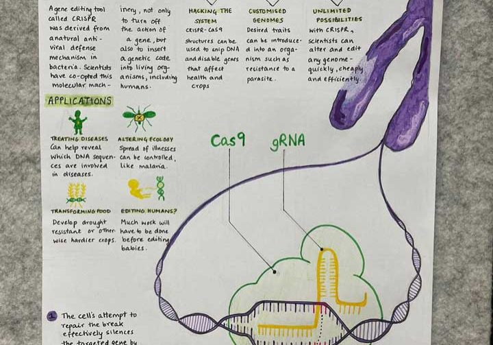 Participant made inforgraphic, inStem, 2023