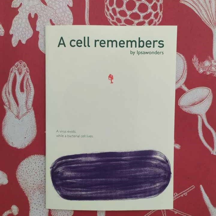 a-cell-remembers