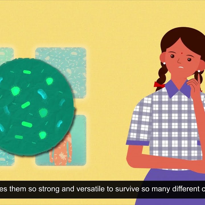Snapshot of video on microbes in extreme conditions