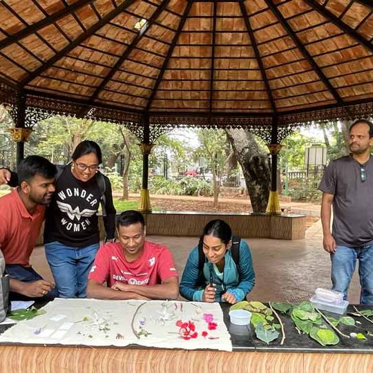 Participants engaging in collection and observation at Cubbon Park