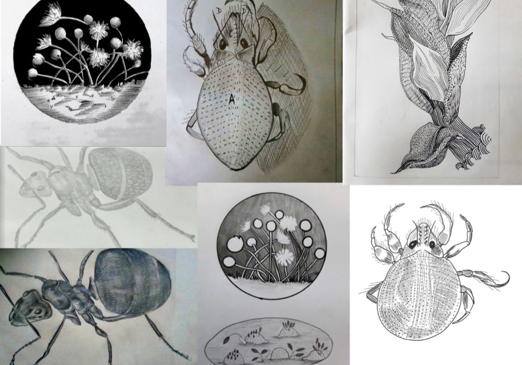 Participants work, replicating images from Micrographia